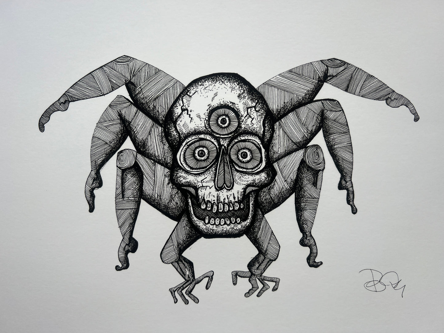 Spider - Fine Art Print