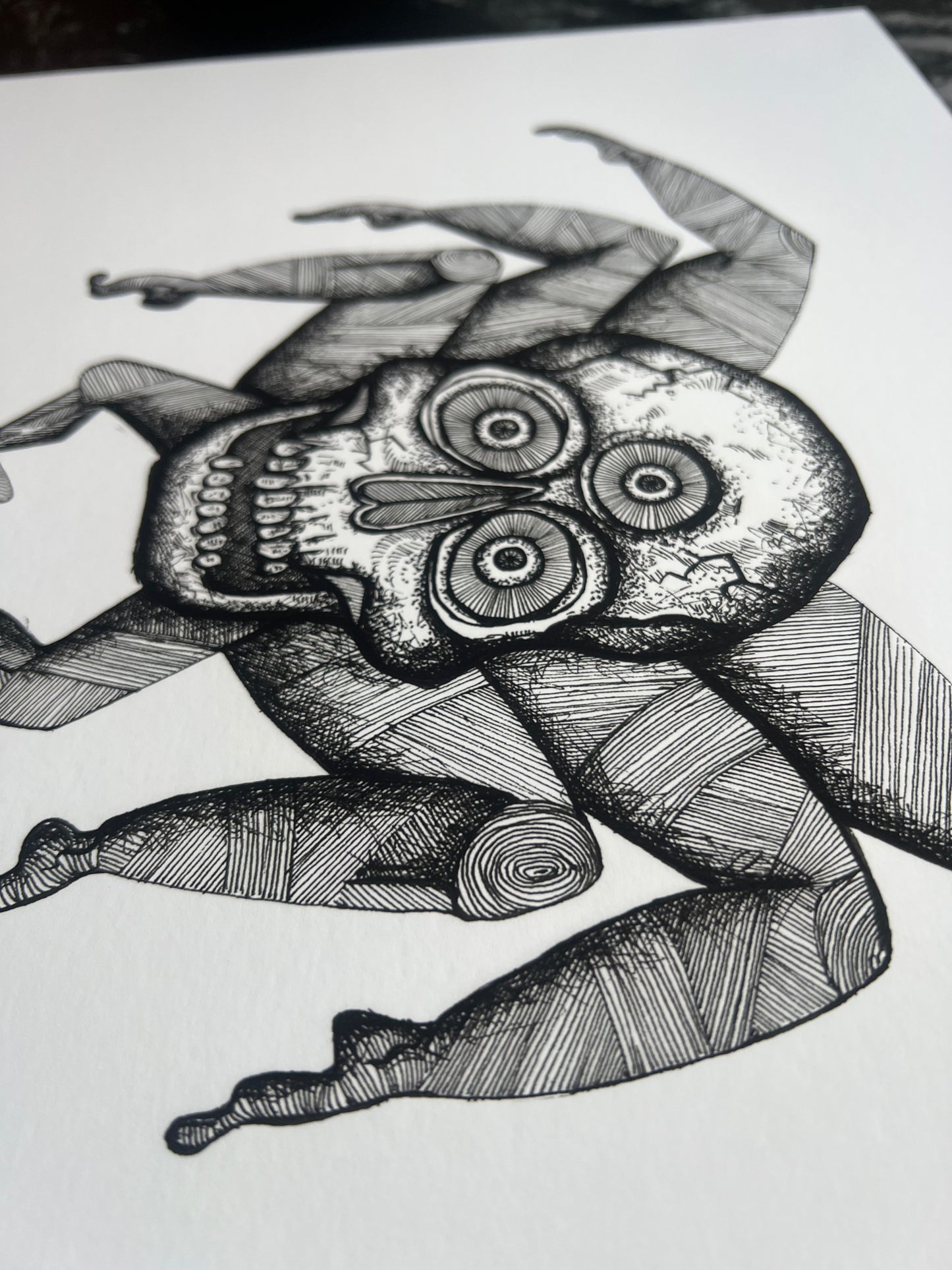 Spider - Fine Art Print