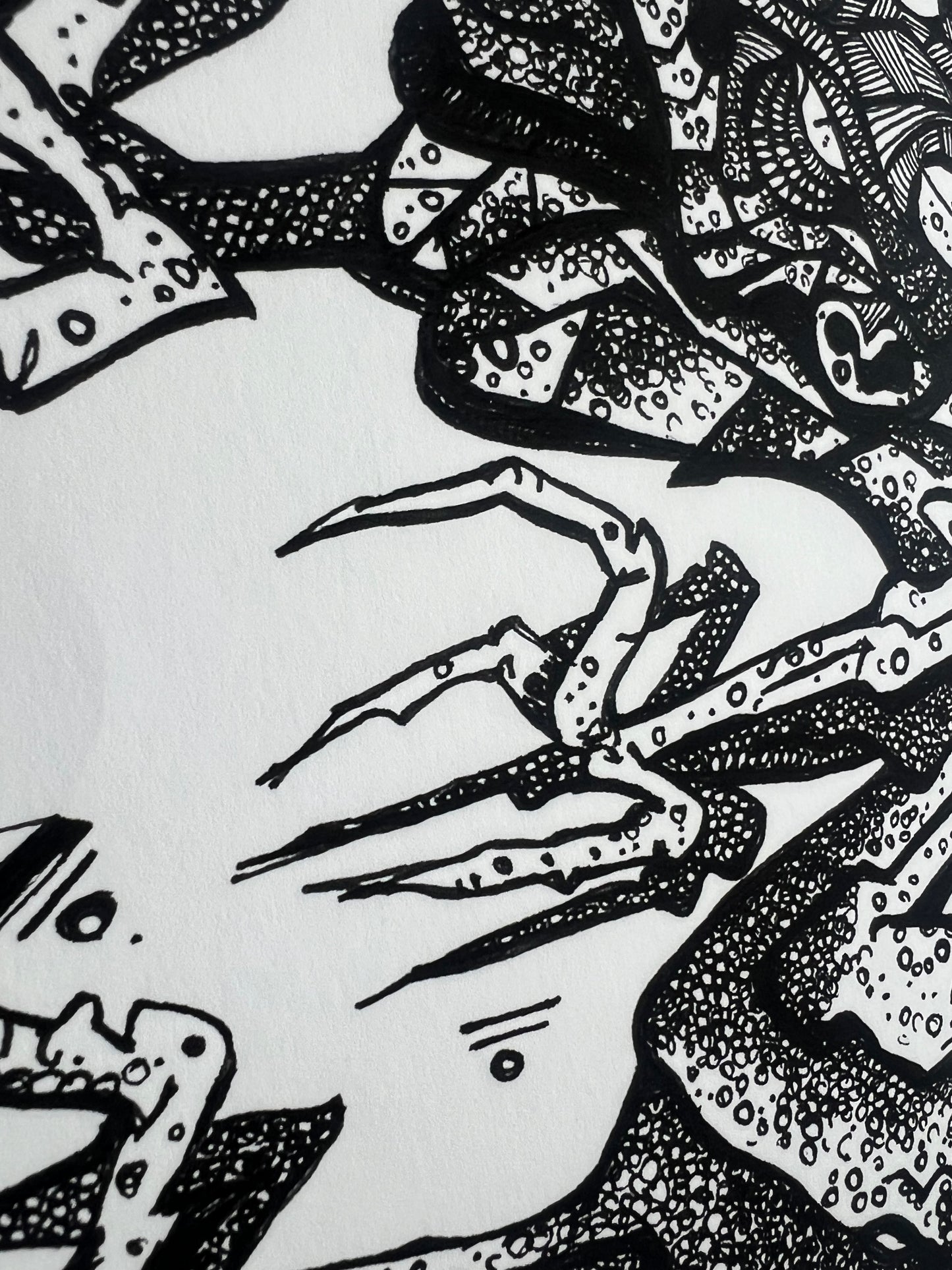 Dragon - Fine Art Print | Framed